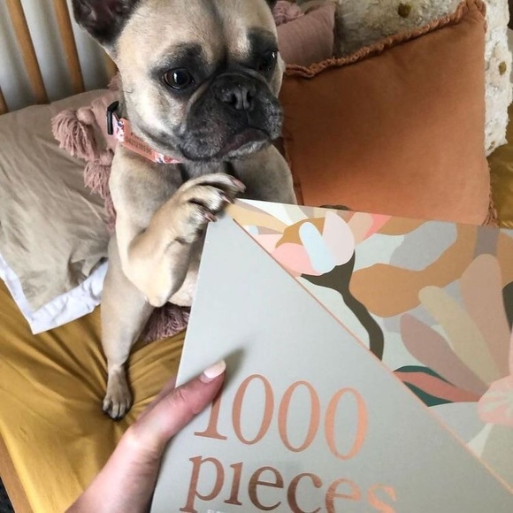 Flowerbed Kimmy Hogan Art 1000 Piece Jigsaw Puzzle Journey of Something - Picture 9 of 11